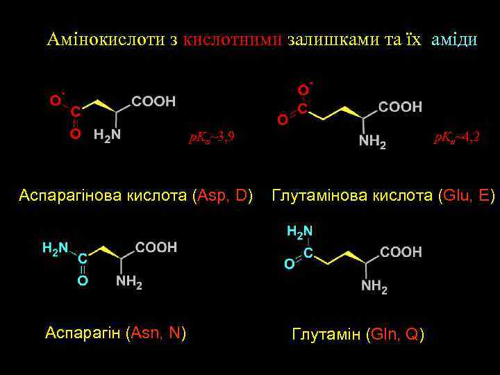 Aмінокислоти з кислотними залишками та їх аміди p. Ka~4, 2 p. Ka~3, 9 Аспарагінова