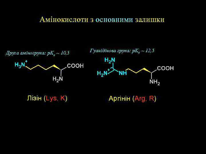 Aмінокислоти з основними залишки Друга аміногрупа: p. Ka ~ 10, 5 Лізін (Lys, K)