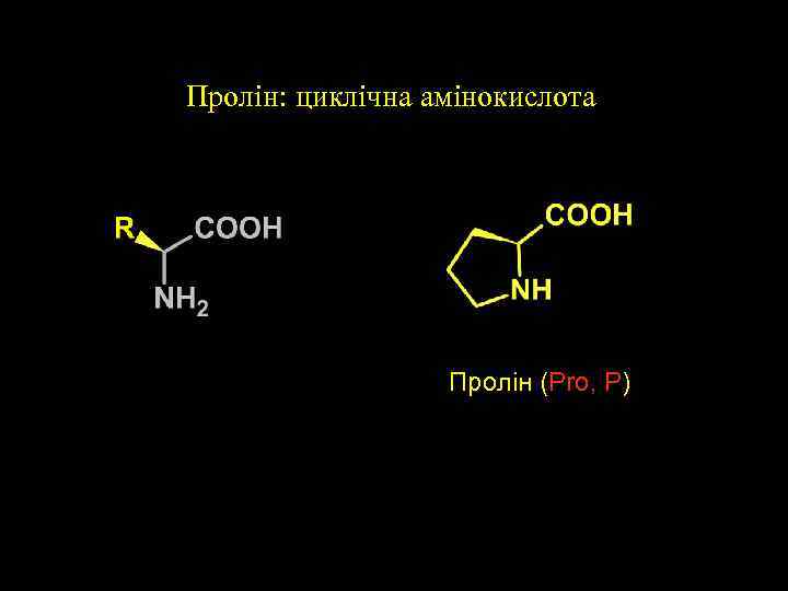 Пролін: циклічна амінокислота Пролін (Pro, P) 