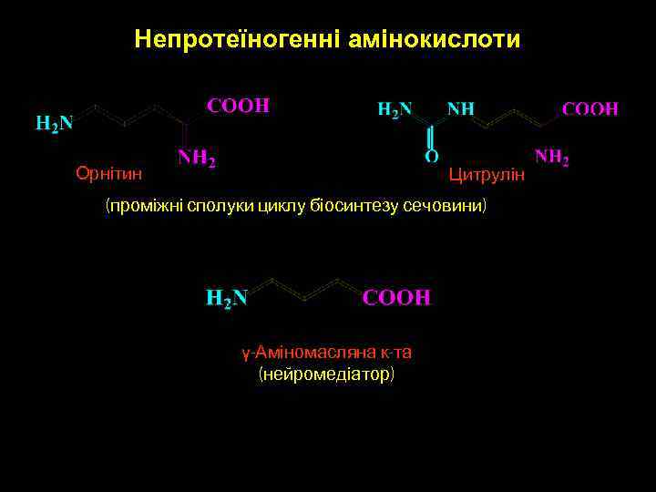 Непротеїногенні амінокислоти Орнітин Цитрулін (проміжні сполуки циклу біосинтезу сечовини) γ-Аміномасляна к-та (нейромедіатор) 