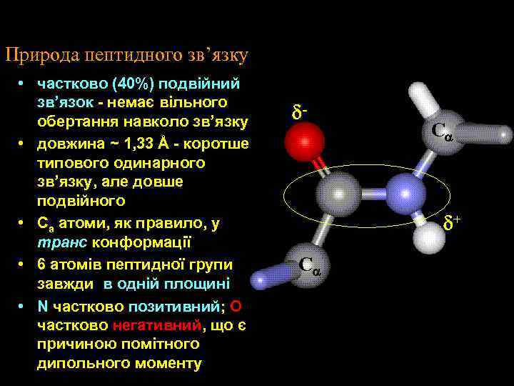 Природа пептидного зв’язку • частково (40%) подвійний зв’язок - немає вільного обертання навколо зв’язку