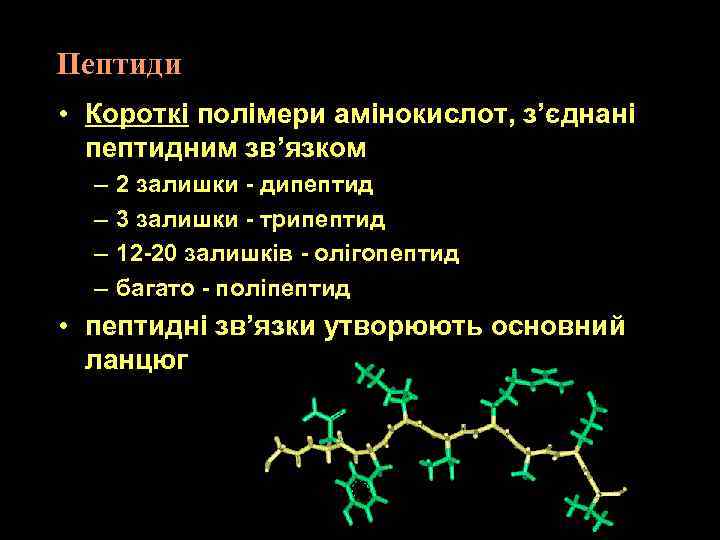 Пептиди • Короткі полімери амінокислот, з’єднані пептидним зв’язком – – 2 залишки - дипептид