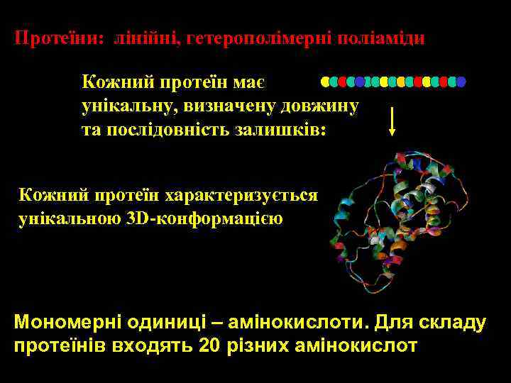 Протеїни: лінійні, гетерополімерні поліаміди Кожний протеїн має унікальну, визначену довжину та послідовність залишків: Кожний