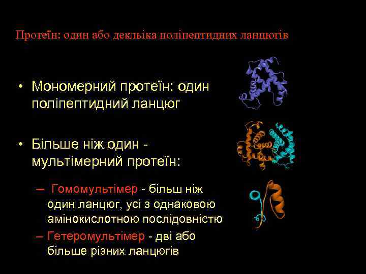 Протеїн: один або декльіка поліпептидних ланцюгів • Moномерний протеїн: один поліпептидний ланцюг • Більше