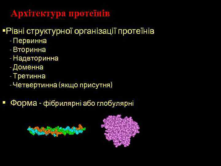 Архітектура протеїнів • Рівні структурної організації протеїнів - Первинна - Вторинна - Надвторинна -