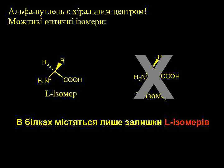 Альфа-вуглець є хіральним центром! Можливі оптичні ізомери: H H 3 N+ R COOH L-iзомер