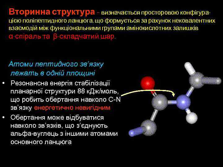 Вторинна структура – визначається просторовою конфігурацією поліпептидного ланцюга, що формується за рахунок нековалентних взаємодій