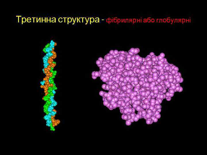 Третинна структура - фібрилярні або глобулярні 