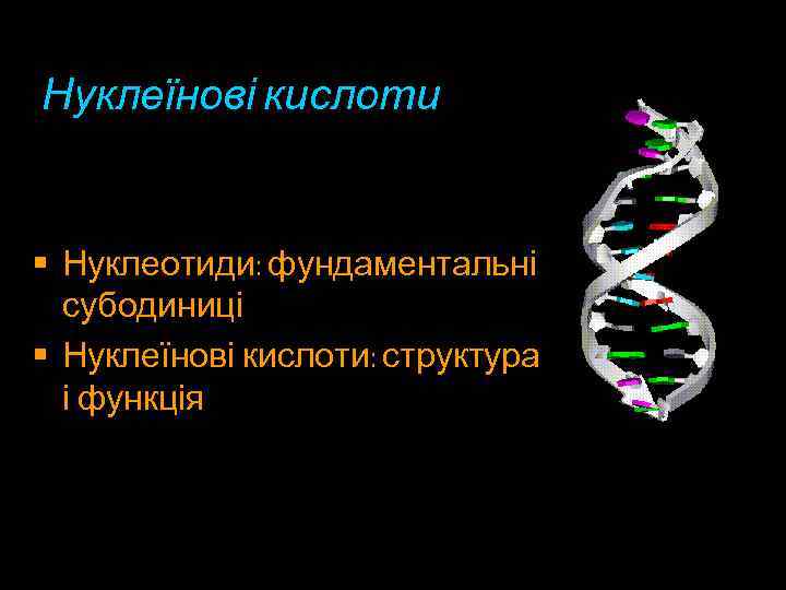 Нуклеїнові кислоти • Нуклеотиди: фундаментальні субодиниці • Нуклеїнові кислоти: структура і функція 