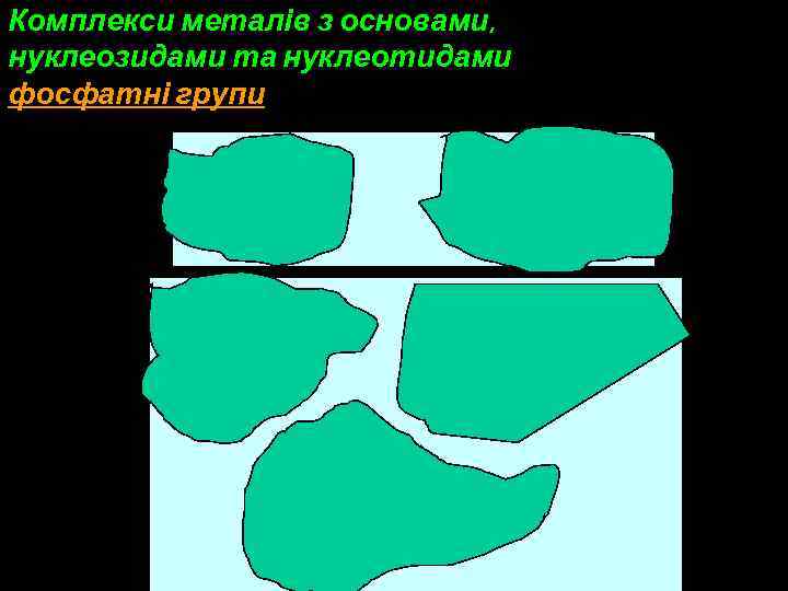 Комплекси металів з основами, нуклеозидами та нуклеотидами фосфатні групи 