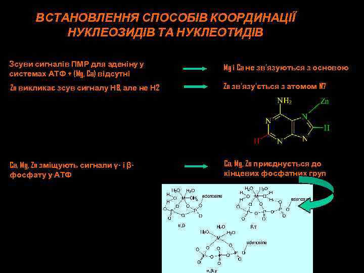 ВСТАНОВЛЕННЯ СПОСОБІВ КООРДИНАЦІЇ НУКЛЕОЗИДІВ ТА НУКЛЕОТИДІВ Зсуви сигналів ПМР для аденіну у системах АТФ