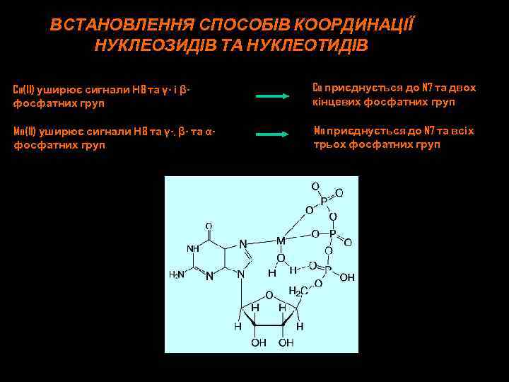 ВСТАНОВЛЕННЯ СПОСОБІВ КООРДИНАЦІЇ НУКЛЕОЗИДІВ ТА НУКЛЕОТИДІВ Cu(II) уширює сигнали Н 8 та γ- і