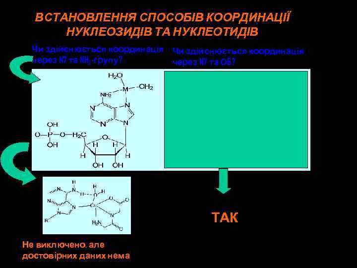 ВСТАНОВЛЕННЯ СПОСОБІВ КООРДИНАЦІЇ НУКЛЕОЗИДІВ ТА НУКЛЕОТИДІВ Чи здійснюється координація через N 7 та NH