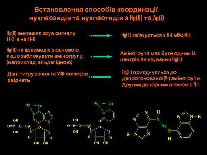 Встановлення способів координації нуклеозидів та нуклеотидів з Hg(II) та Ag(I) Hg(II) викликає зсув сигналу