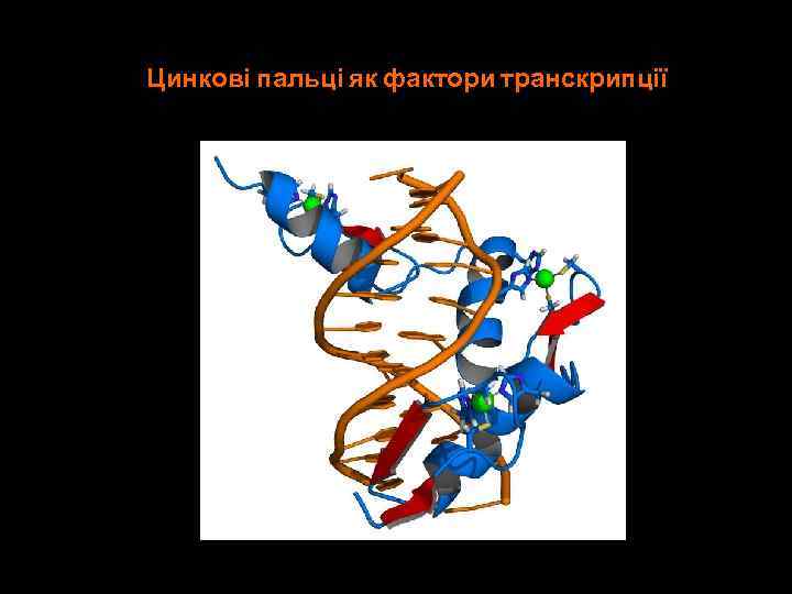 Цинкові пальці як фактори транскрипції 