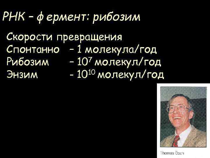 РНК – фермент: рибозим Скорости превращения Спонтанно – 1 молекула/год Рибозим – 107 молекул/год