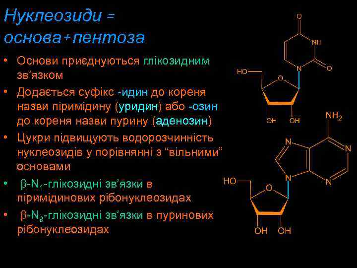 Нуклеозиди = основа+ пентоза • Основи приєднуються глікозидним зв’язком • Додається суфікс -идин дo