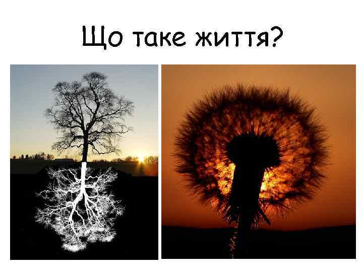 Що таке життя? 21. 1 