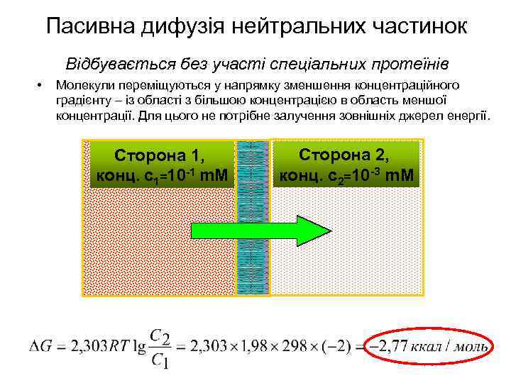 Пасивна дифузія нейтральних частинок Відбувається без участі спеціальних протеїнів • Молекули переміщуються у напрямку