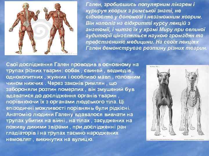 Гален, зробившись популярним лікарем і курируя хворих з римської знаті, не відмовляв у допомозі