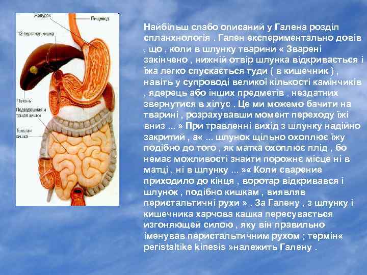 Найбільш слабо описаний у Галена розділ спланхнологія. Гален експериментально довів , що , коли