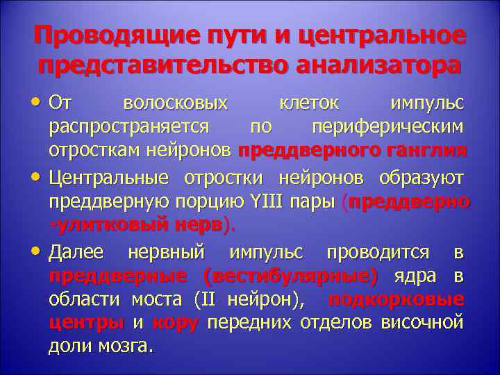 Проводящие пути и центральное представительство анализатора • От • • волосковых клеток импульс распространяется