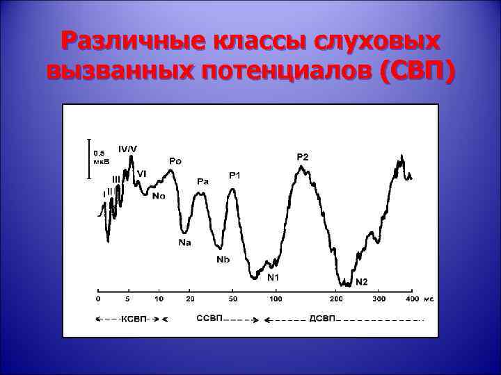 Различные классы слуховых вызванных потенциалов (СВП) 