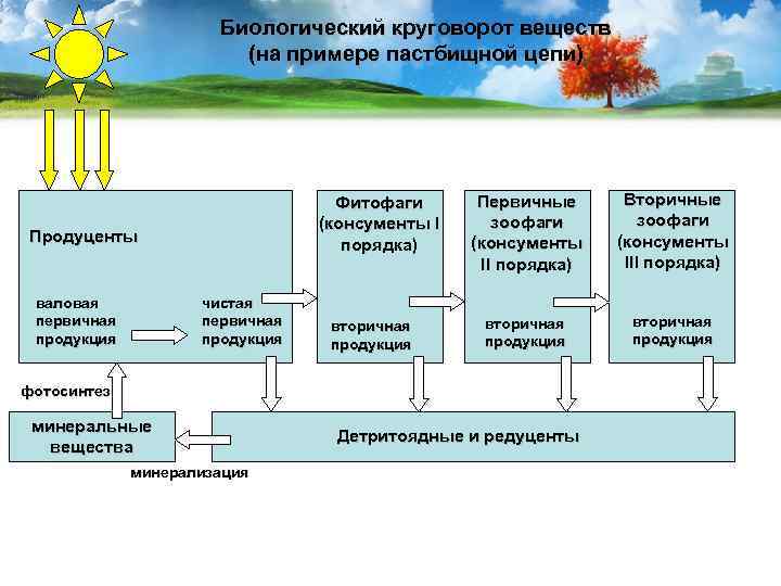 Биологический круговорот непрерывное движение веществ между