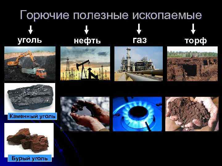 Горючие полезные ископаемые уголь Каменный уголь Бурый уголь нефть газ торф 