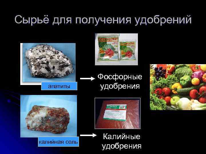 Сырьё для получения удобрений апатиты калийная соль Фосфорные удобрения Калийные удобрения 