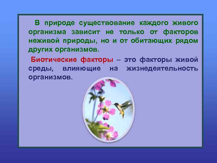 В природе существование каждого живого организма зависит не только от факторов неживой природы, но