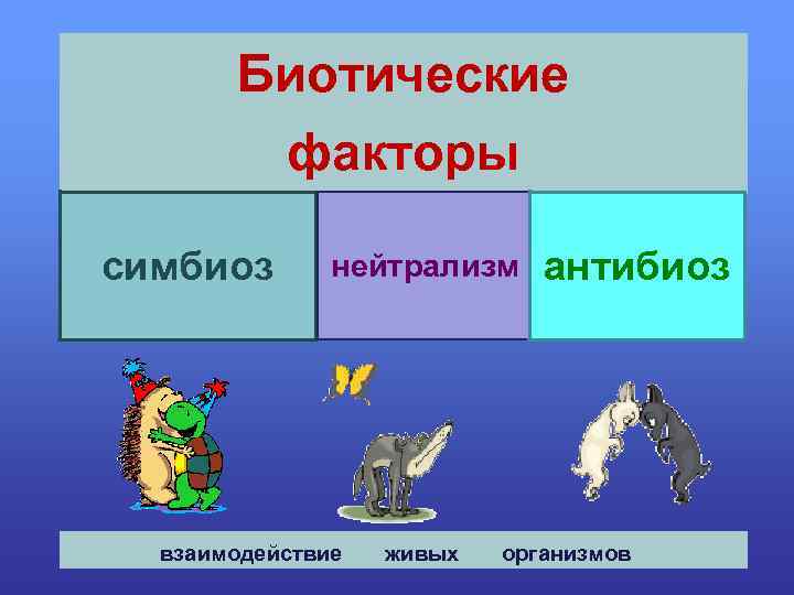 Биотические факторы симбиоз нейтрализм взаимодействие живых антибиоз организмов 