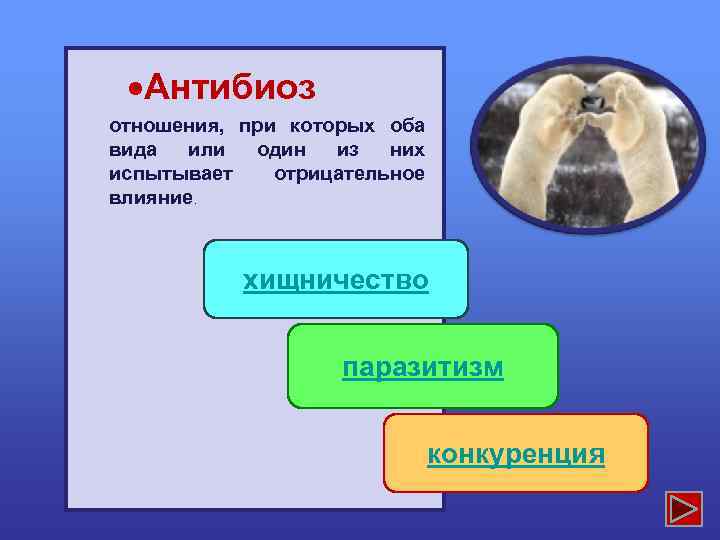  Антибиоз отношения, при которых оба вида или один из них испытывает отрицательное влияние.