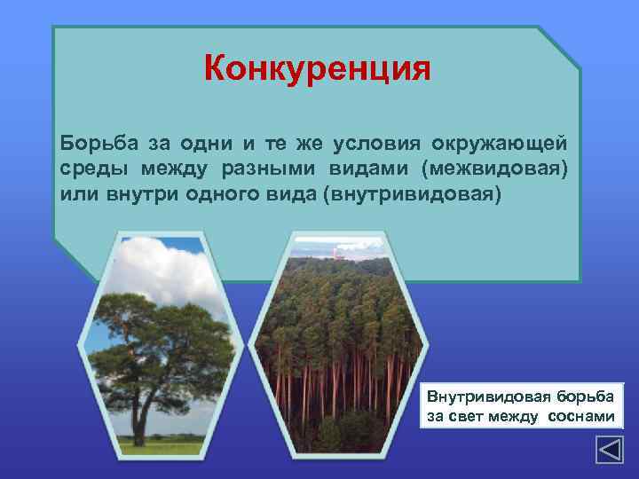 Конкуренция Борьба за одни и те же условия окружающей среды между разными видами (межвидовая)