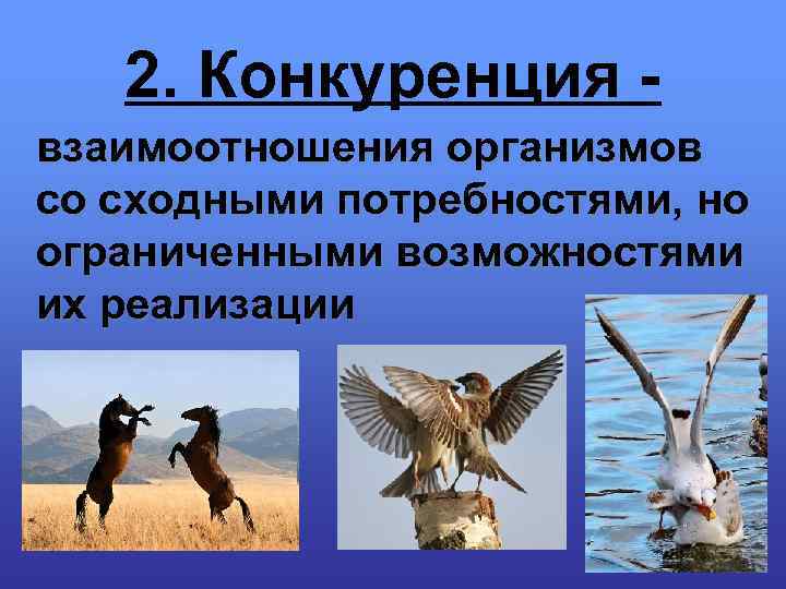 2. Конкуренция взаимоотношения организмов со сходными потребностями, но ограниченными возможностями их реализации 