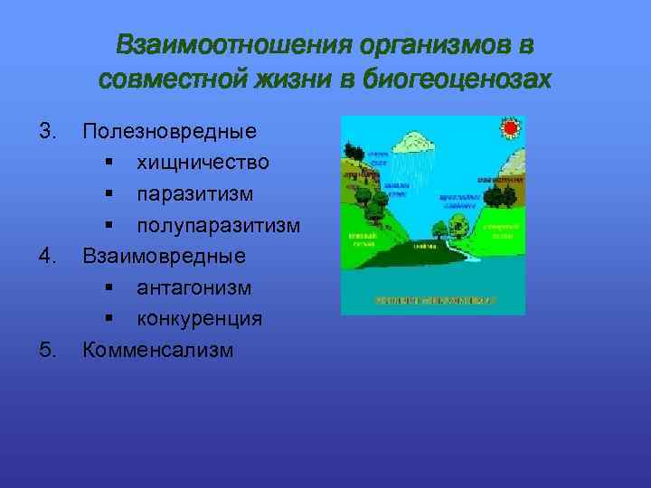 Взаимоотношения организмов в совместной жизни в биогеоценозах 3. 4. 5. Полезновредные § хищничество §