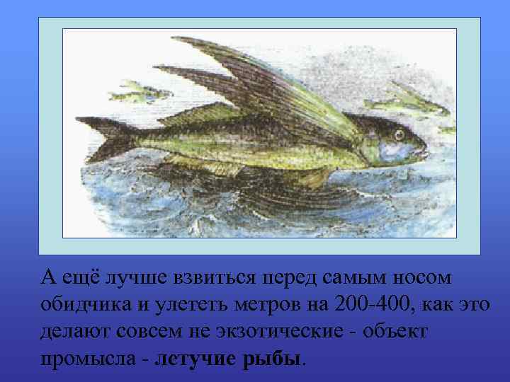 А ещё лучше взвиться перед самым носом обидчика и улететь метров на 200 -400,