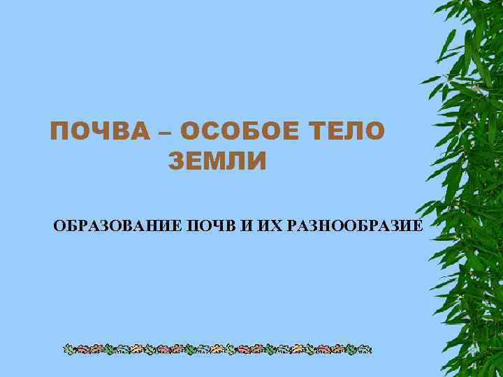 ПОЧВА – ОСОБОЕ ТЕЛО ЗЕМЛИ ОБРАЗОВАНИЕ ПОЧВ И ИХ РАЗНООБРАЗИЕ 