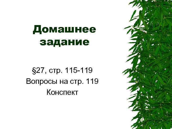 Домашнее задание § 27, стр. 115 -119 Вопросы на стр. 119 Конспект 