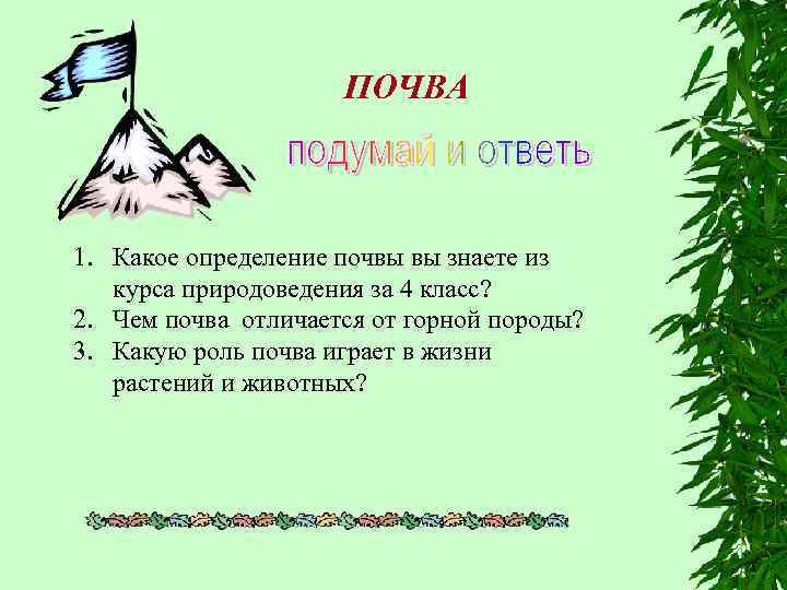 ПОЧВА 1. Какое определение почвы вы знаете из курса природоведения за 4 класс? 2.