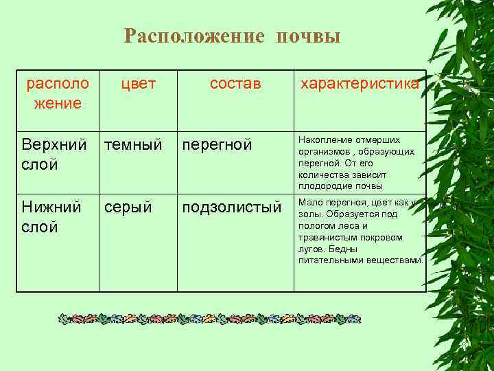 Расположение почвы располо жение цвет состав характеристика Верхний слой темный перегной Накопление отмерших организмов