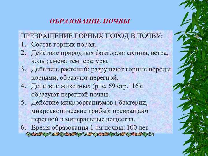ОБРАЗОВАНИЕ ПОЧВЫ ПРЕВРАЩЕНИЕ ГОРНЫХ ПОРОД В ПОЧВУ: 1. Состав горных пород. 2. Действие природных