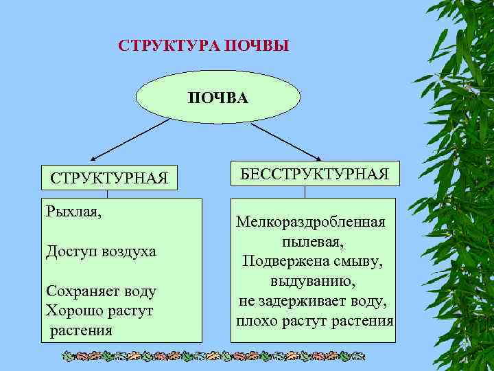 СТРУКТУРА ПОЧВЫ ПОЧВА СТРУКТУРНАЯ Рыхлая, Доступ воздуха Сохраняет воду Хорошо растут растения БЕССТРУКТУРНАЯ Мелкораздробленная