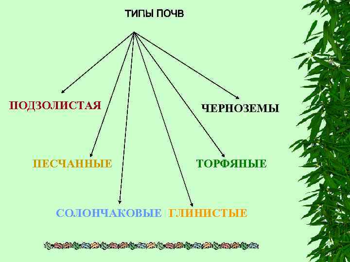 ПОДЗОЛИСТАЯ ПЕСЧАННЫЕ ЧЕРНОЗЕМЫ ТОРФЯНЫЕ СОЛОНЧАКОВЫЕ ГЛИНИСТЫЕ 