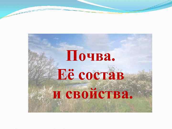 Почва. Её состав и свойства. 