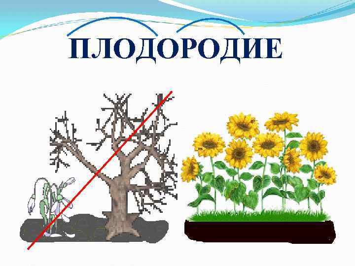 ПЛОДОРОДИЕ 