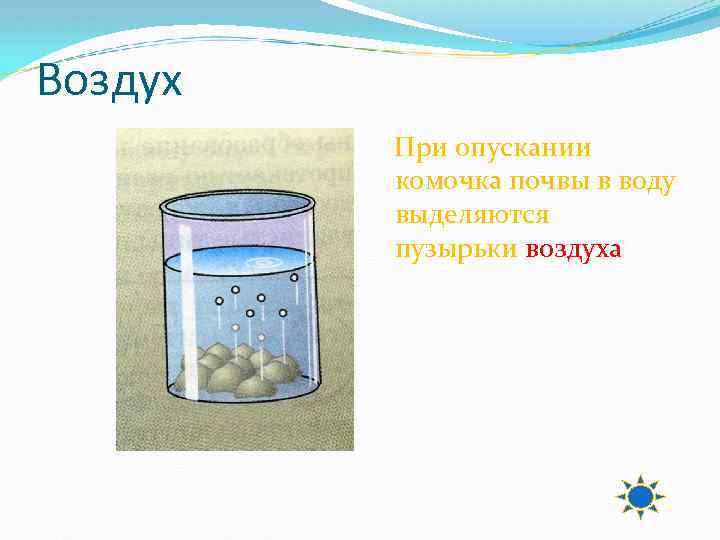 Воздух При опускании комочка почвы в воду выделяются пузырьки воздуха 