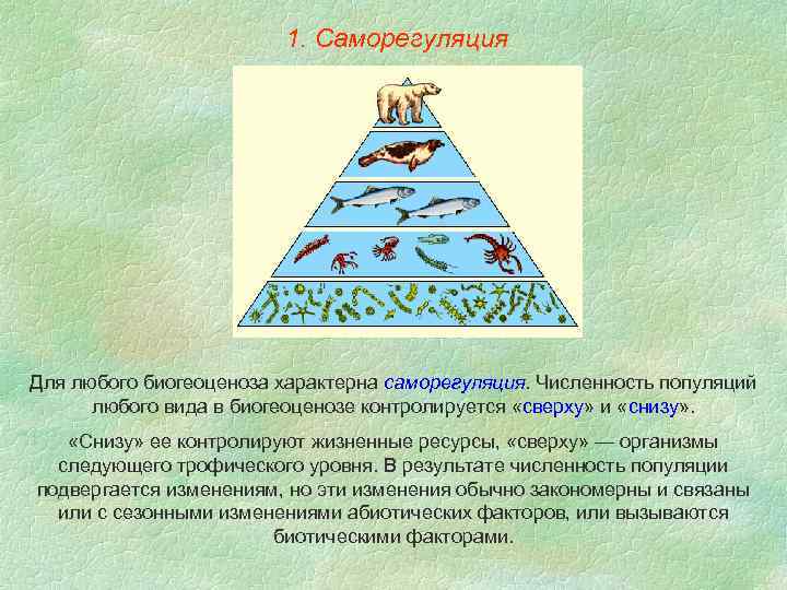 Саморегуляция картинки огэ