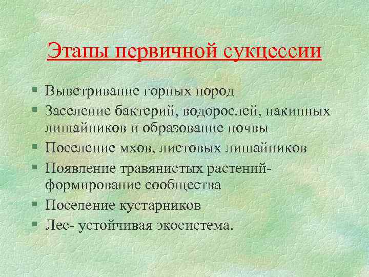 Этапы первичной сукцессии § Выветривание горных пород § Заселение бактерий, водорослей, накипных лишайников и