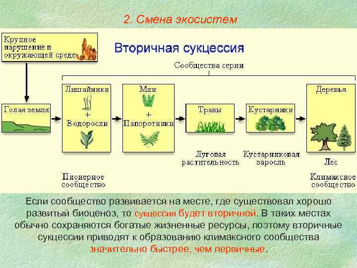 2. Смена экосистем Если сообщество развивается на месте, где существовал хорошо развитый биоценоз, то